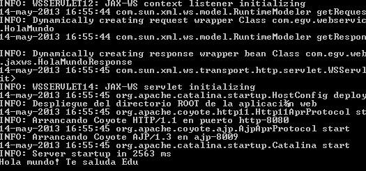 Consola de salida del servidor.